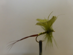 Size 10 Mayfly Olive